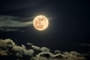 آیا ماه کامل واقعاً بر خواب ما تأثیر می‌گذارد؟_آینده