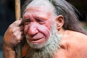 رد باوری قدیمی؛ بینی بزرگ نئاندرتال‌ها برای سازگاری با سرما تکامل نیافته بود_آینده