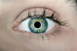 بازگشت بینایی یک بیمار با قرنیه چاپ سه‌بعدی