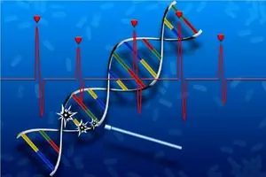 ابداع اولین داروی ترمیم DNA و بازسازی بافت آسیب‌دیده