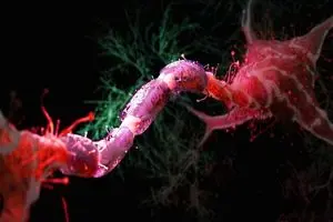 مبارزه با پیری مغز با افت ۳۰ درصدی کالری دریافتی_آینده 13 مبارزه با پیری مغز با کاهش ۳۰ درصدی کالری دریافتی