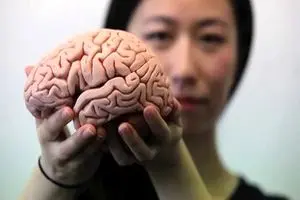 چه کنیم مغزمان جوان‌ بماند؟