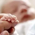 ارائه ۱۱ مرحله سبد غذایی رایگان در طرح یسنا