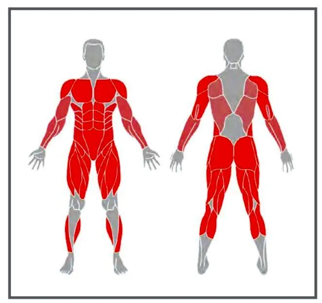 ورزش در خانه؛ برنامه تمرینی اختصاصی برای «تناسب اندام»_آینده 14 ورزش در خانه؛ برنامه تمرینی ویژه برای «تناسب اندام» + عکس