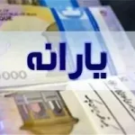 دهک‌های یک تا ۳ می‌توانند ۲ برابر یارانه‌شان خرید کنند و اقساطی بپردازند