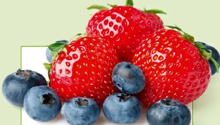 با این مواد غذایی توان ذهنی تان را افزایش دهید_آینده