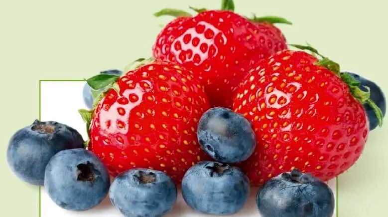 با این مواد غذایی توان ذهنی‌تان را افزایش دهید