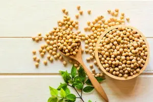 در مصرف سویا احتیاط کنید_آینده 2 در مصرف سویا احتیاط کنید