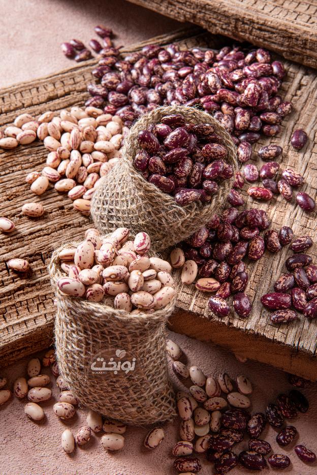 زنجیره تأمین مطمئن؛ کلید موفقیت در تولید کنسرو با لوبیا چیتی ازبکستان