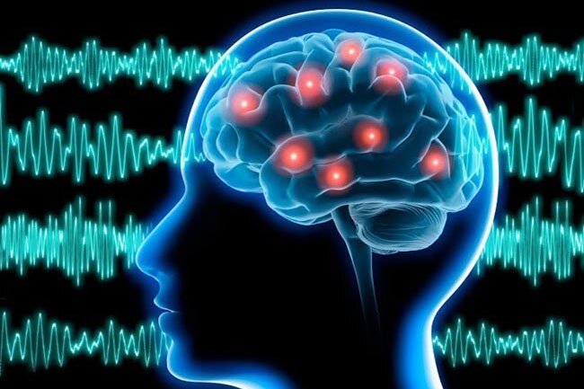 مغز انسان از دو نیمکره متمایز تشکیل شده