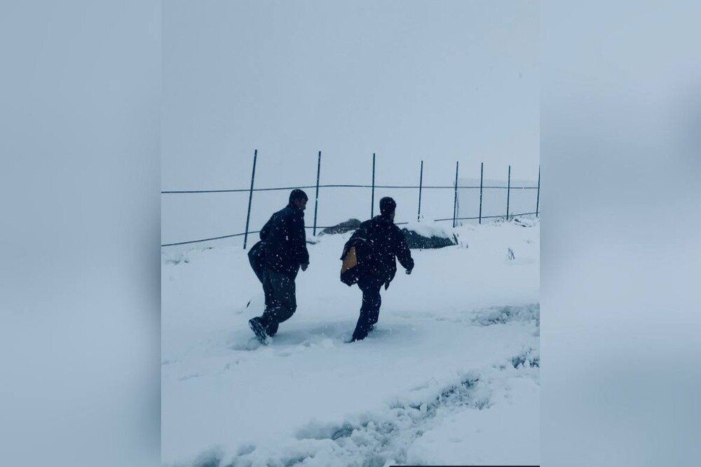 فیلم کوتاه ژیلهمو در جشنواره فیلم وستلند آمریکا گنجانده شد